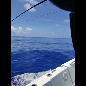 Key Largo Fishing. Dolphin today were in 888 ft.