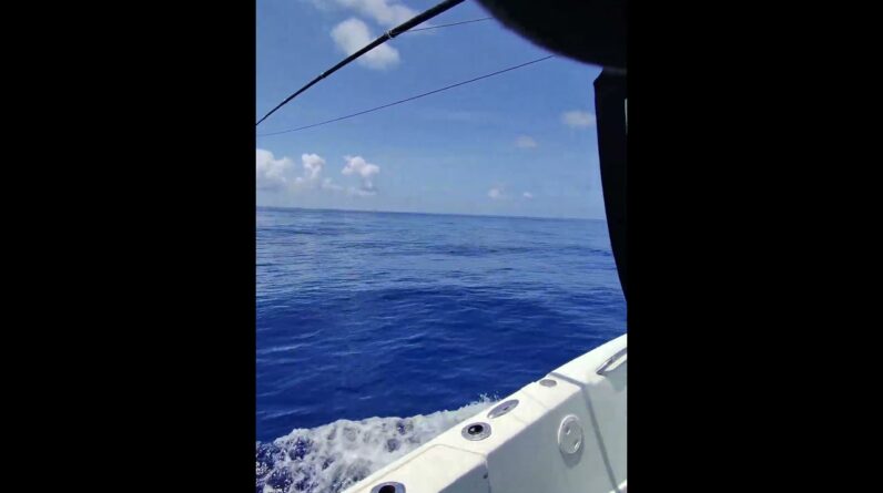 Key Largo Fishing. Dolphin today were in 888 ft.