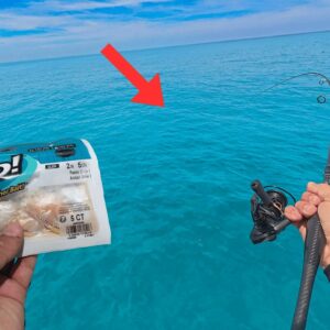 Using ONLY Gulp baits | SOLO Patch Reef Fishing {Catch Clean Cook}