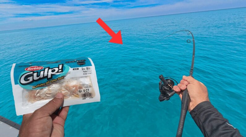 Using ONLY Gulp baits | SOLO Patch Reef Fishing {Catch Clean Cook}