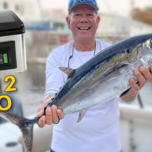 Biggest Blackfin Tuna of the Season (Solo) + Wevac CV12 Pro Review