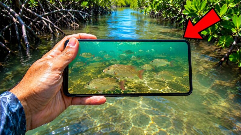 Can this phone help me catch more fish {CATCH & COOK}