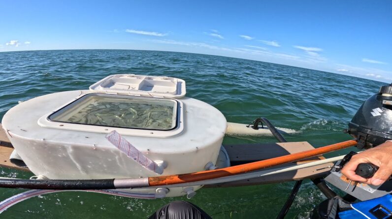 Chopping and Final Customization of the Ultimate Kayak Livewell.