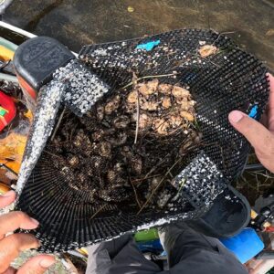 They Were All DEAD. Hundreds of $'s Lost. Shoreline Scavenging and New Lures.