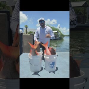 Great Fishing Charter Catch in June- Florida Keys Snapper