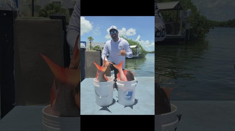 Great Fishing Charter Catch in June- Florida Keys Snapper