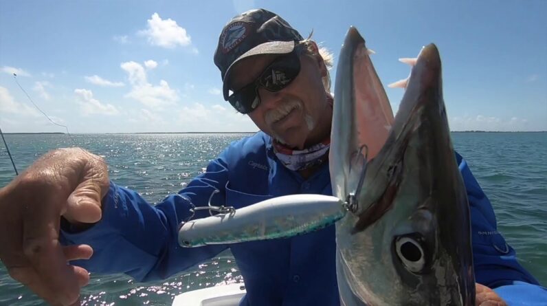How to Save a Tough Day Fishing - Barracuda feat. Pirate for Hire