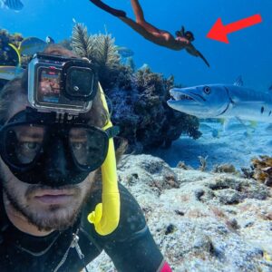 I take my girlfriend spearfishing *I can't believe she shoots this*