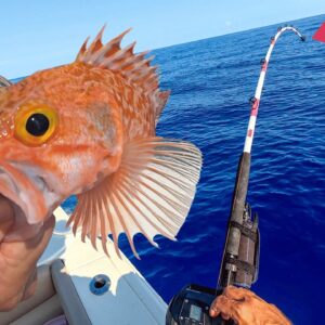 Is this fish worth the fuel? {Catch Clean Cook}