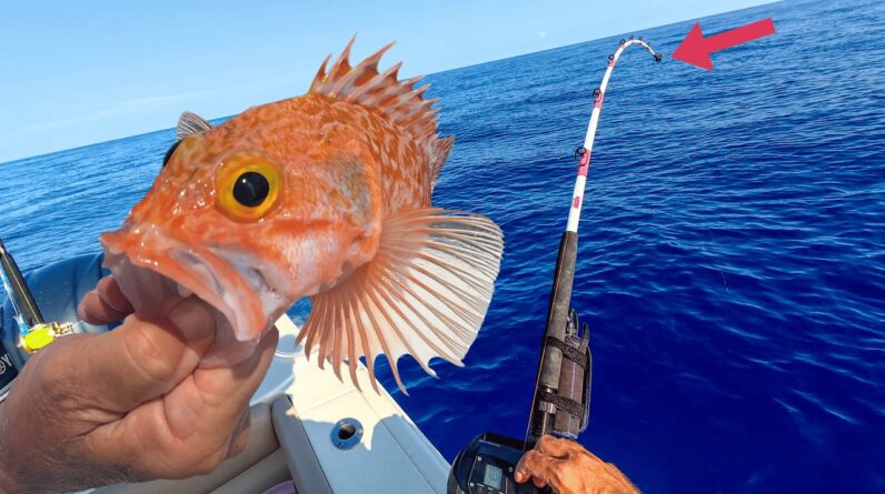 Is this fish worth the fuel? {Catch Clean Cook}