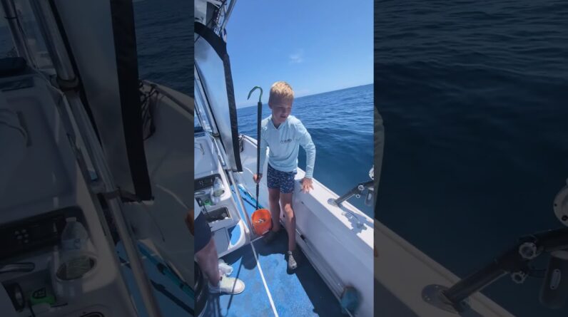 The Best Florid Keys bait was used to catch this big black grouper. #floridakeysfishing #fishing