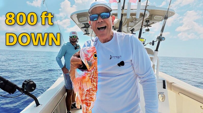 One of Florida's Best Eating Fish Lives 800 Feet Down