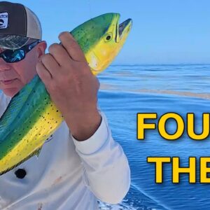 Solo Mahi Mission Off Key Largo