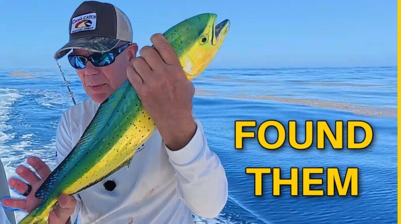 Solo Mahi Mission Off Key Largo
