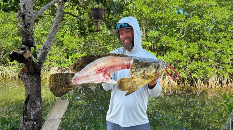 The Forbidden Fruit | Goliath Grouper Catch Clean Cook