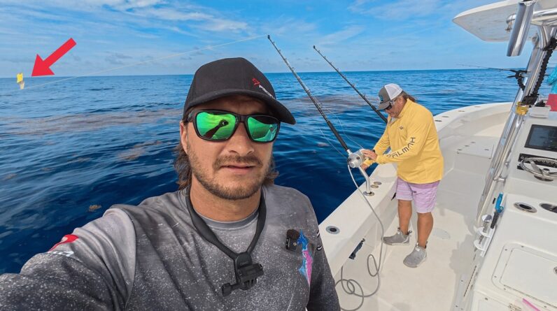 We lose our fishing gear while Swordfishing {Catch AND Cook}