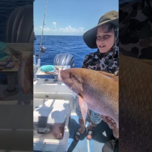 Young kids catching 30 inch Florida Keys snappers.