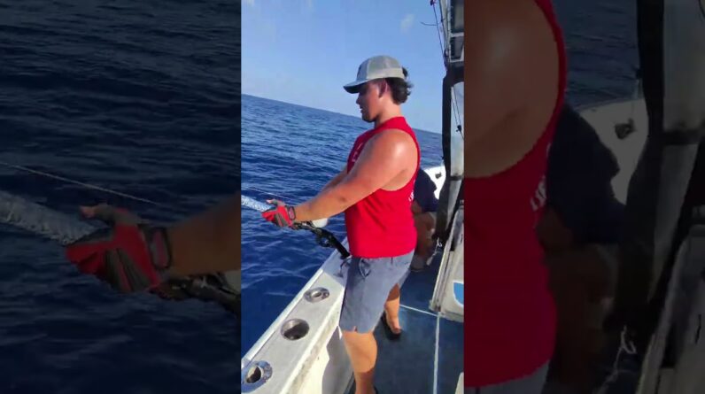 If u don't bring the shark up to the boat they stick around. Can't fight change.✌️