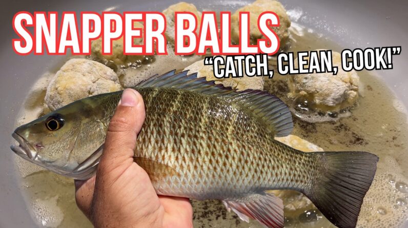 You GOTTA TRY! I make Snapper Balls {Catch Clean Cook}