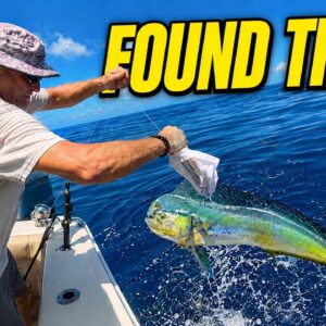 Trolling Was Almost Impossible... Then We Found the Mahi