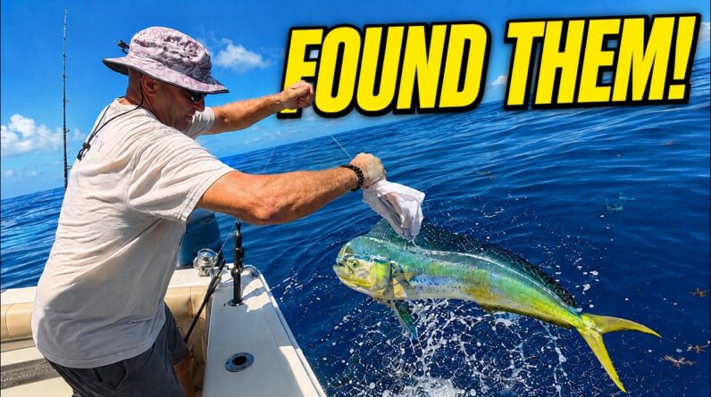 Trolling Was Almost Impossible... Then We Found the Mahi