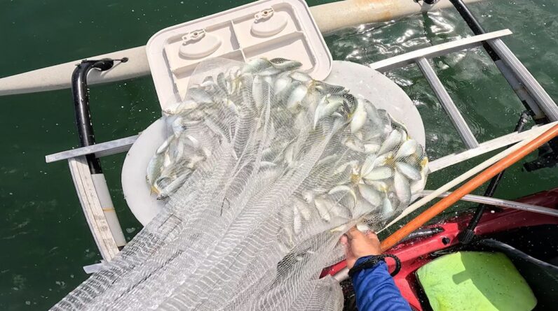 Live Bait Matters = Shooting Tarpon in a Barrel + Bulletproofing The Offshore Kayak.