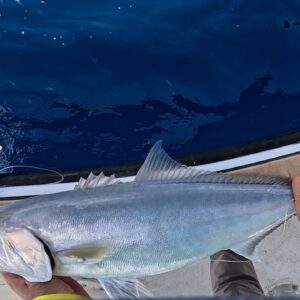 Jigging With Fred...and a piece of crap depth finder.