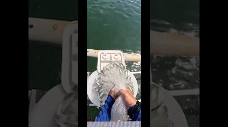 Live Bait Matters. Fishing nah, Catching.