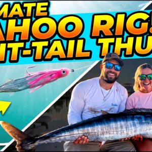 Slow Troll Wahoo: Split-Tail Ballyhoo Secret for Insane Tail Thump