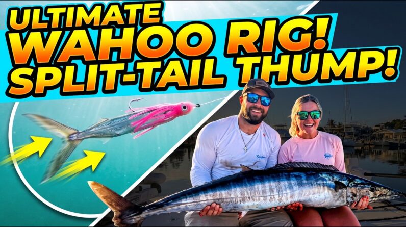 Slow Troll Wahoo: Split-Tail Ballyhoo Secret for Insane Tail Thump