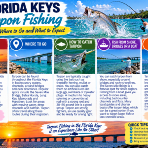 Florida Keys Tarpon Fishing Guide