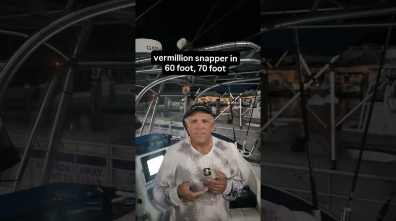Fishing Updates from The Florida Keys- dock talk.