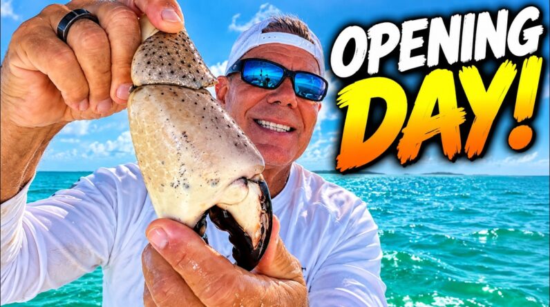 Inside Florida Stone Crab Opening Day... This Is How It Really Works