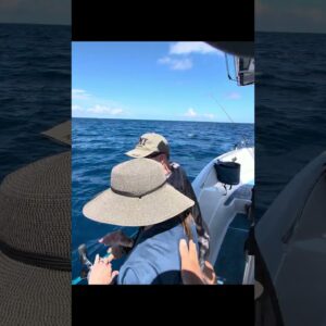Oh! Unwelcome Surprise While Fishing in The FL Keys #snapper #sharks #floridafishing