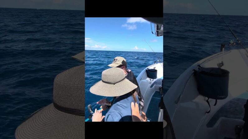 Oh! Unwelcome Surprise While Fishing in The FL Keys #snapper #sharks #floridafishing