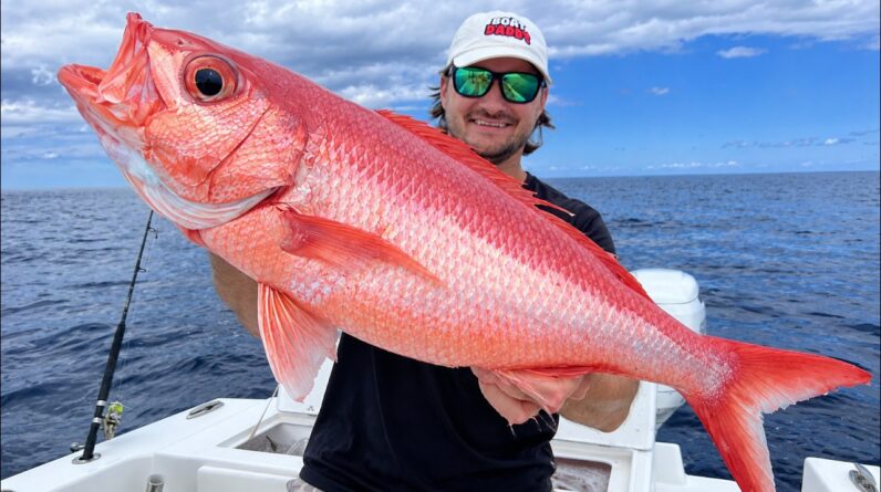 My FIRST Queen Snapper from 600ft Deep! Catch Clean Cook