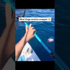 Someone's First Time Catching This Fish! Florida Keys Fishing