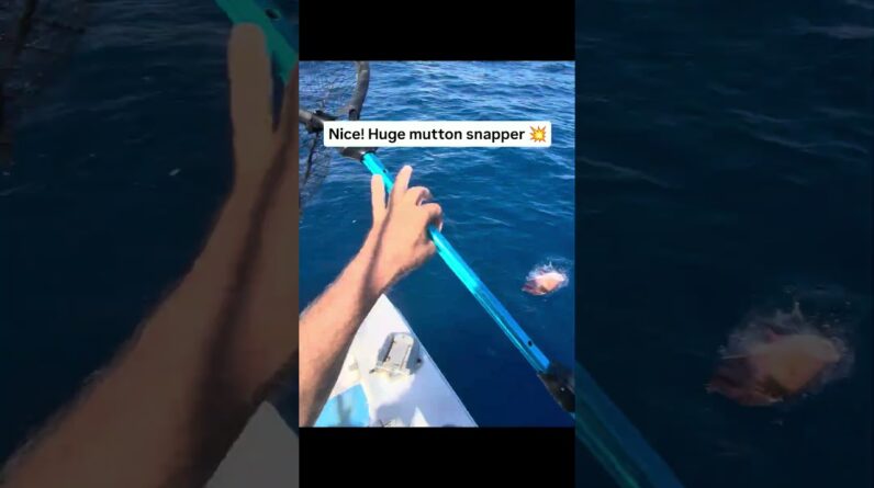 Someone's First Time Catching This Fish! Florida Keys Fishing