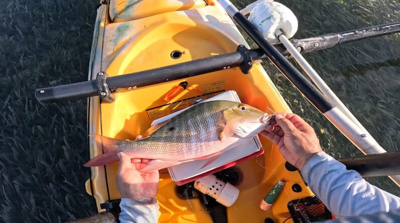 That Ain't No Bonefish.