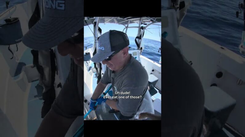 Catching these tasty fish in The Florida Keys. #keylargo #floridakeysfishing #floridafishing
